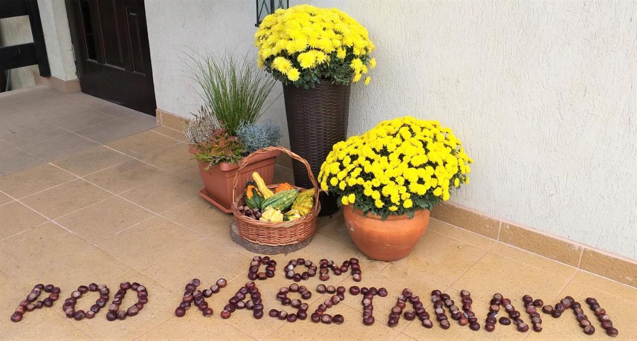 דירות קז'ימייז' דולני Dom Pod Kasztanami מראה חיצוני תמונה
